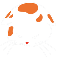 logo cat